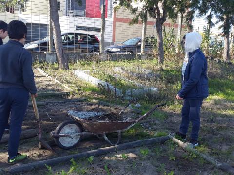 A fertilização do solo com o composto do compostor da Escola